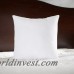 Wayfair Basics™ Wayfair Basics Pillow Insert WFBS1728